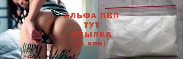 PSILOCYBIN Аркадак