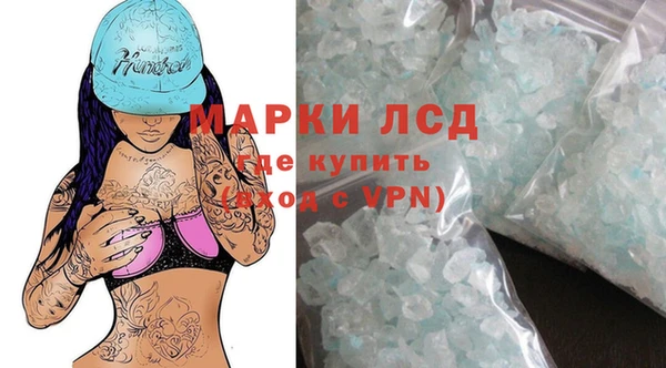 PSILOCYBIN Аркадак