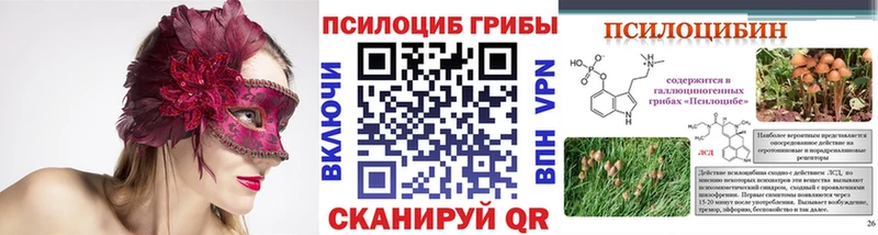 Псилоцибиновые грибы мицелий  купить  цена  Рудня 