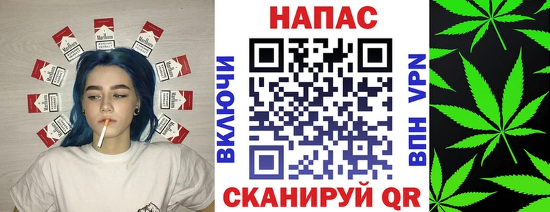 Бошки Шишки ГИДРОПОН  Рудня 